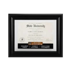 Budget 😀 Black 11" x 14" Document Float Frame by Studio Décor® by Studio Decor ⭐