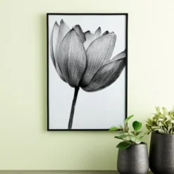 Best Pirce π Black Multipurpose Frame, Basics By Studio Décor® by Studio Decor β€οΈ 9 Best Pirce π Black Multipurpose Frame, Basics By Studio Décor® by Studio Decor β€οΈ -The Decor Frame Sales Store 10477545 20 1