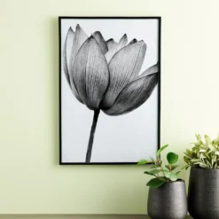 Best Pirce 😀 Black Multipurpose Frame, Basics By Studio Décor® by Studio Decor ❤️