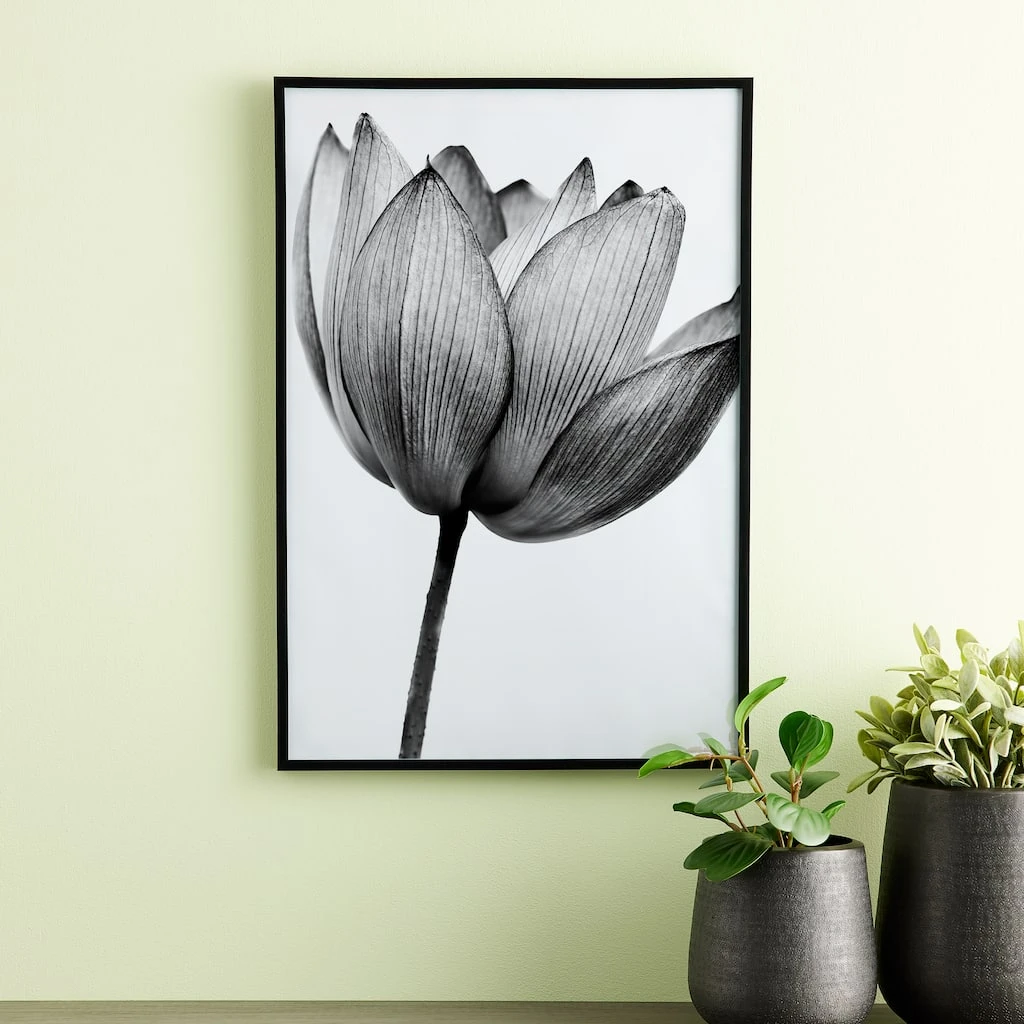 Best Pirce π Black Multipurpose Frame, Basics By Studio Décor® by Studio Decor β€οΈ 1 Best Pirce π Black Multipurpose Frame, Basics By Studio Décor® by Studio Decor β€οΈ