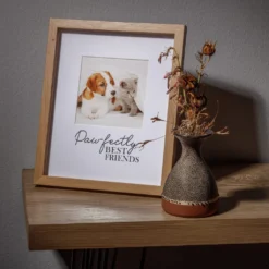 Hot Sale ⌛ Natural Paw-Fectly Best Friends 5" x 5" Tabletop Frame by Studio Décor® by Studio Decor ✔️ -The Decor Frame Sales Store 10705045 5
